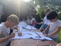 dolfijnen zijn aan het tekenen op zomerkamp