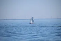 de Potvis 677 op de regionale zeilwedstrijden 2019 in Yerseke