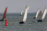 de 222 op de regionale zeilwedstrijden op de Oosterschelde bij Yerseke